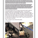 Image for article titled Dog Dies On United Flight After Flight Attendant Forces Him To Ride In Overhead Compartment